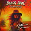 Cover California Dreamin'