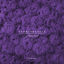 Cover Sommermorgen: Innocence, Pt. 1