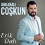 Cover Erik Dalı