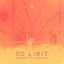 Cover No Limit