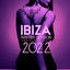 Cover Ibiza Winter Session 2022 (The Lounge Cookies)