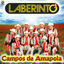 Cover Campos De Amapola