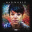 Cover Mad World