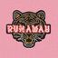 Cover RUNAWAY