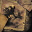 Cover Sagas