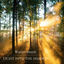 Cover Light into the Shadow