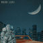 Cover Moon Love
