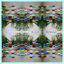 Cover Dum Spiro Spero