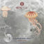 Cover 13 Years of Akbal Music