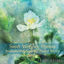 Cover Sweet Worship Hymns and Instrumental Soaking Prayer Music