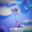 Cover Beauty in You