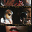 Cover Pretty Brown