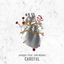 Cover Careful (feat. Sam Bruno)