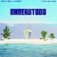 Cover Understood (Remix)