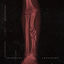 Cover FRACTURE