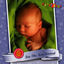 Cover For the New Arrival