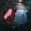 Cover Fehlst