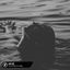 Cover Save Me