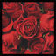 Cover D97