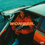 Cover WONDER