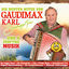Cover Die besten Witze von Gaudimax Karl Baumgartner… und a zünftige Musik