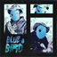 Cover Bluebird