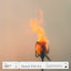 Cover Honest With You