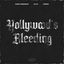 Cover Hollywood's Bleeding (Techno)