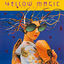 Cover Yellow Magic Orchestra USA