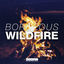 Cover Wildfire