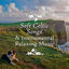 Cover Soft Celtic Songs & Instrumental Relaxing Music. Best Songs for Relax, Calm, Inner Peace, Destress, Serenity & Positive Life.