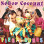 Cover Fiesta Songs