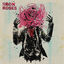 Cover The Iron Roses