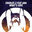 Cover What's Love (Radio Mix)