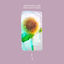 Cover Reflections