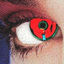 Cover Introspective