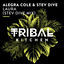 Cover Laura (Stev Dive Mix)