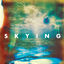 Cover Skying