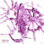 Cover Broken Pieces
