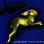 Cover A History of Sport Fishing