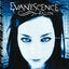 Cover Fallen