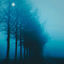 Cover silhouettes