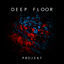 Cover Deep Floor