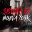 Cover Sistema De Nueva York