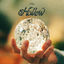 Cover Hollow