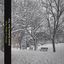 Cover Winter in New York