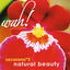 Cover Savasana 3: Natural Beauty