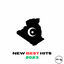 Cover NEW BEST HITS: ALGERIA