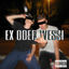 Cover Ex oder Wessi