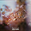 Cover Vivid Places